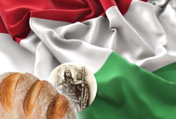 Hungary Flag Ruffled Beautifully Waving Macro Close-Up Shot